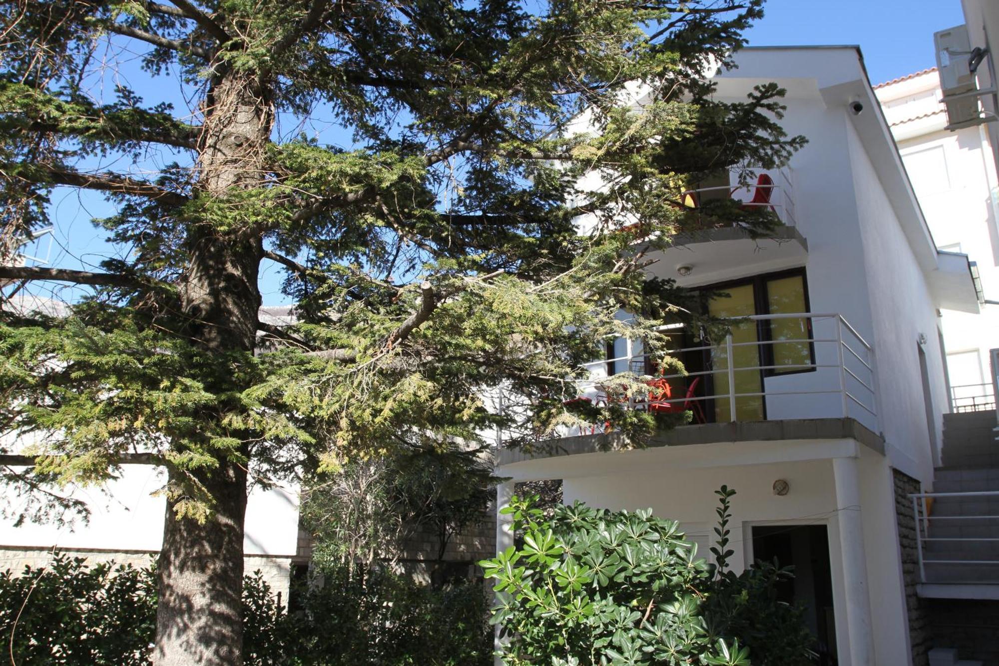 Apartments Popovic Petrovac Екстер'єр фото